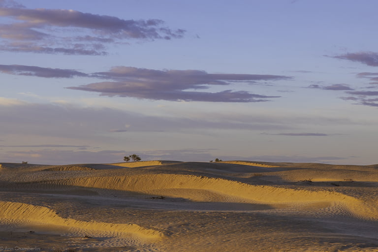 Tozeur & the Sahara Desert