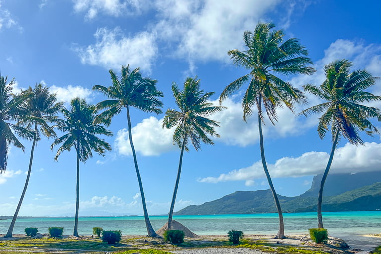 The Society Islands - Tahiti & Bora Bora