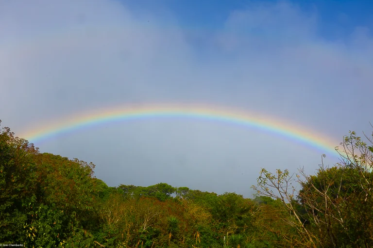 IMG_1509-blog Rainbow over Monte Verde